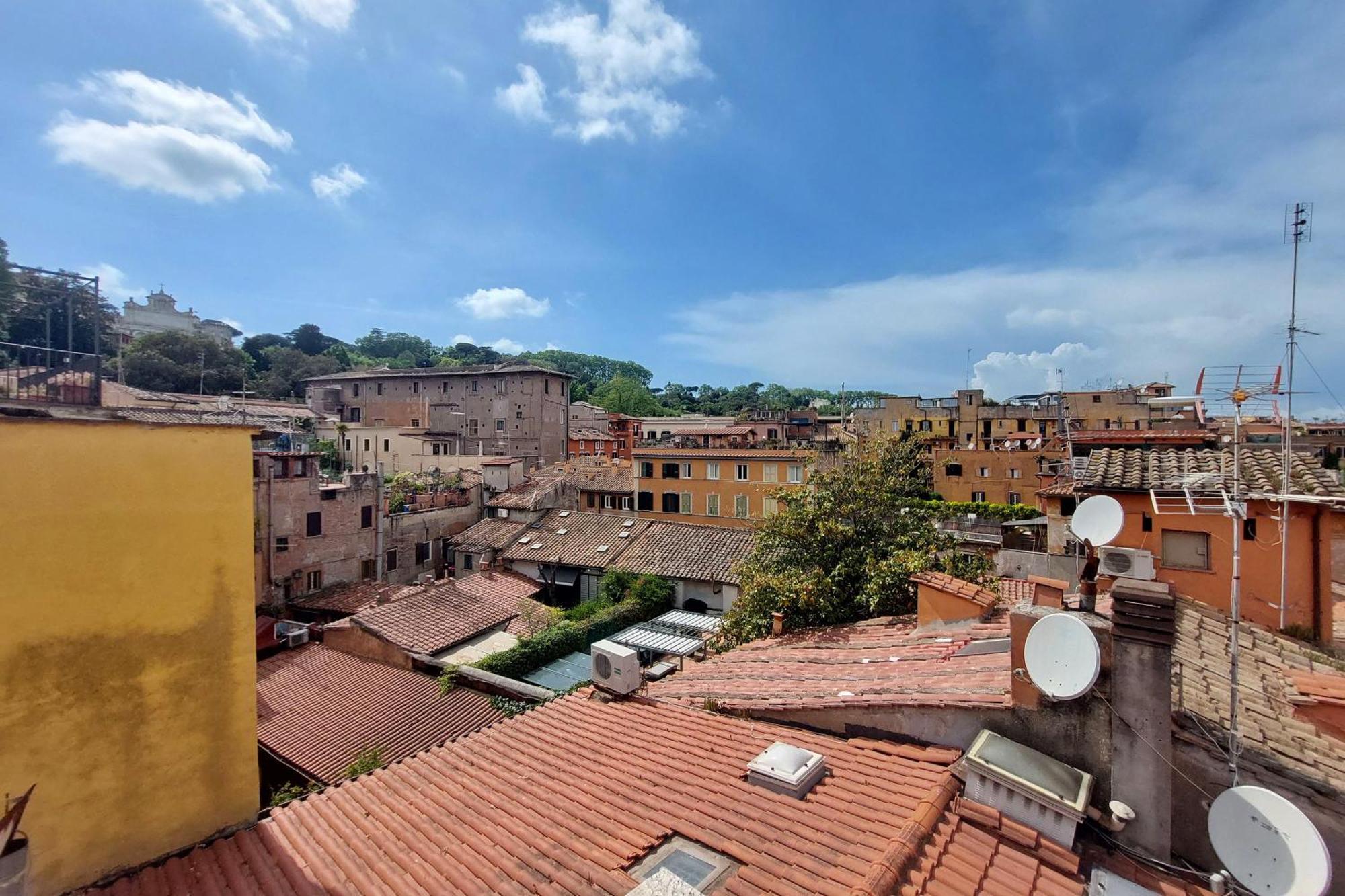 Magic Trastevere On Roof Terrace Roma